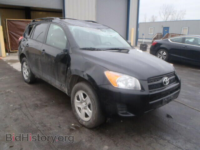 Фотография 2T3BF4DV6CW215399 - TOYOTA RAV4 2012