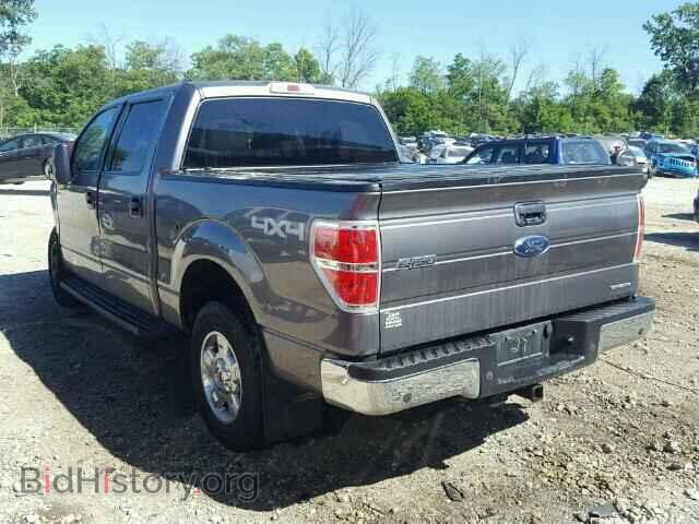 2014 FORD F150 - VIN: 1FTFW1EF9EKD85548 - Фото 3