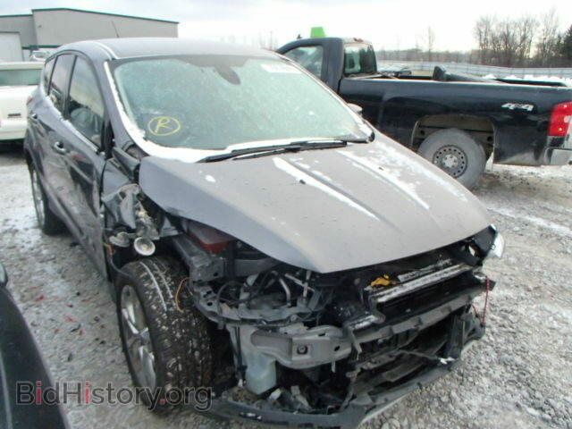 Фотография 1FMCU9HX4DUA28644 - FORD ESCAPE 2013