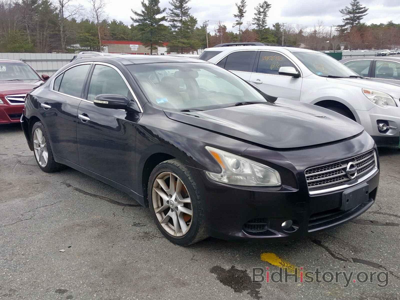 Photo 1N4AA5AP7AC819264 - NISSAN MAXIMA 2010