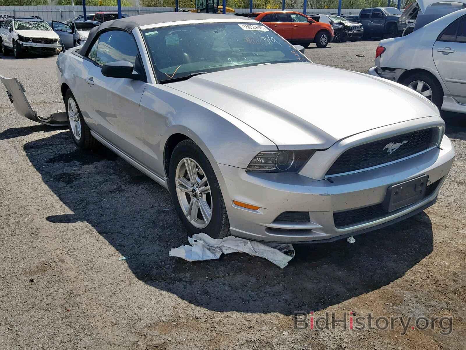 Photo 1ZVBP8EMXE5229338 - FORD MUSTANG 2014