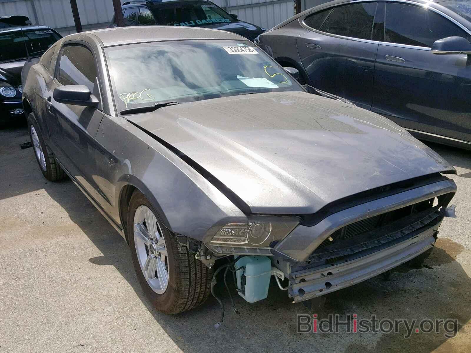 Фотография 1ZVBP8AM6E5328177 - FORD MUSTANG 2014