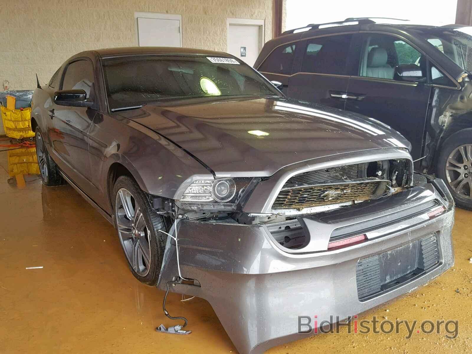 Photo 1ZVBP8AM0E5282314 - FORD MUSTANG 2014