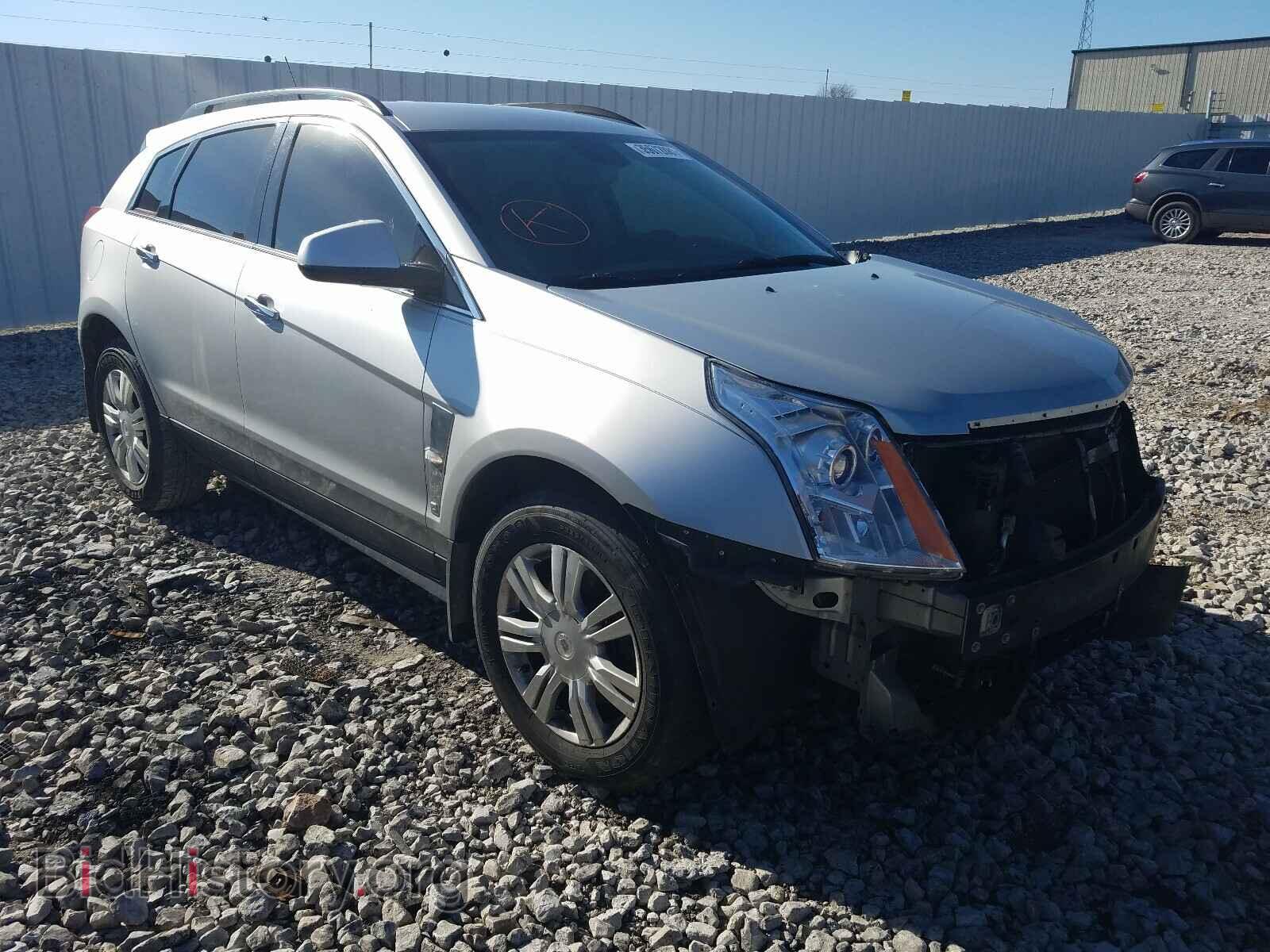 Photo 3GYFNGEY6AS557194 - CADILLAC SRX 2010