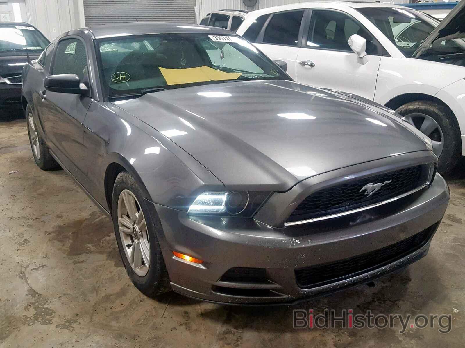 Photo 1ZVBP8AM2E5300148 - FORD MUSTANG 2014