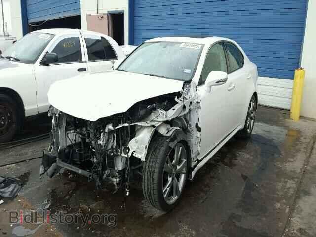 2009 LEXUS IS250 - VIN: JTHBK262195094220 - Фото 2