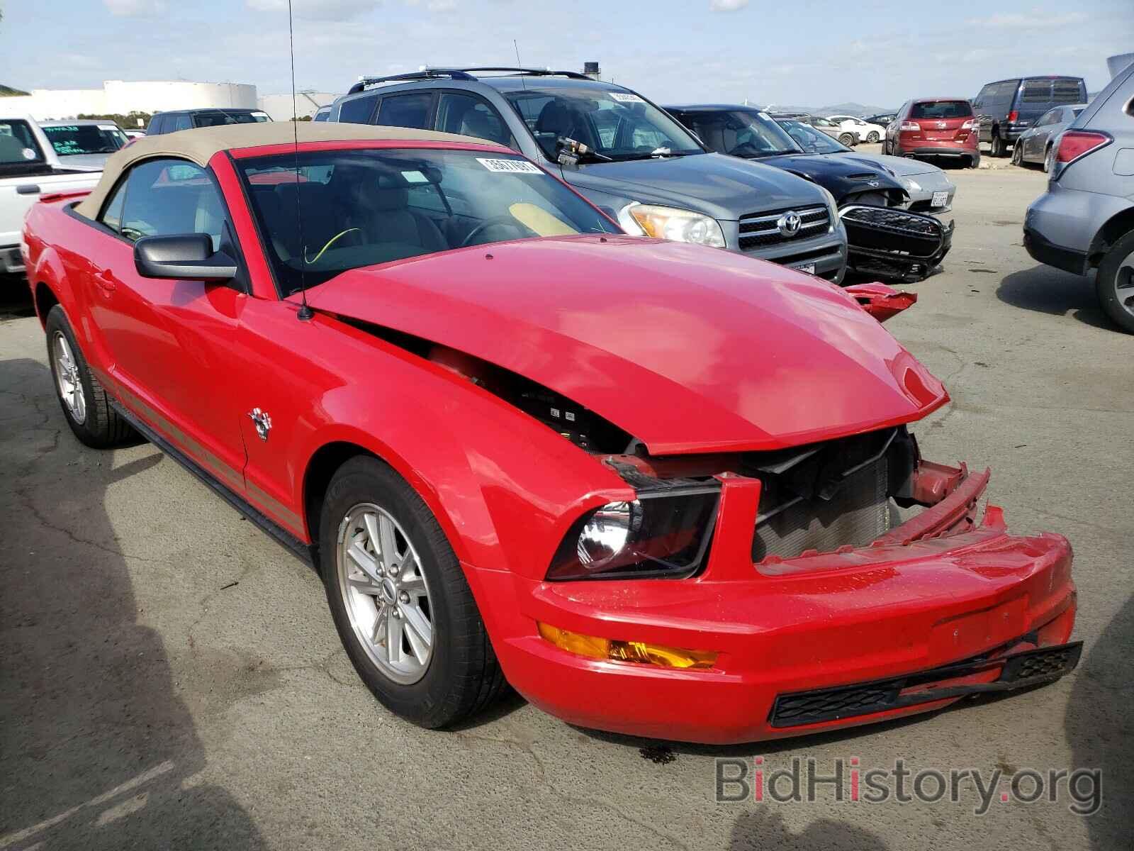 Photo 1ZVHT84N495118550 - FORD MUSTANG 2009