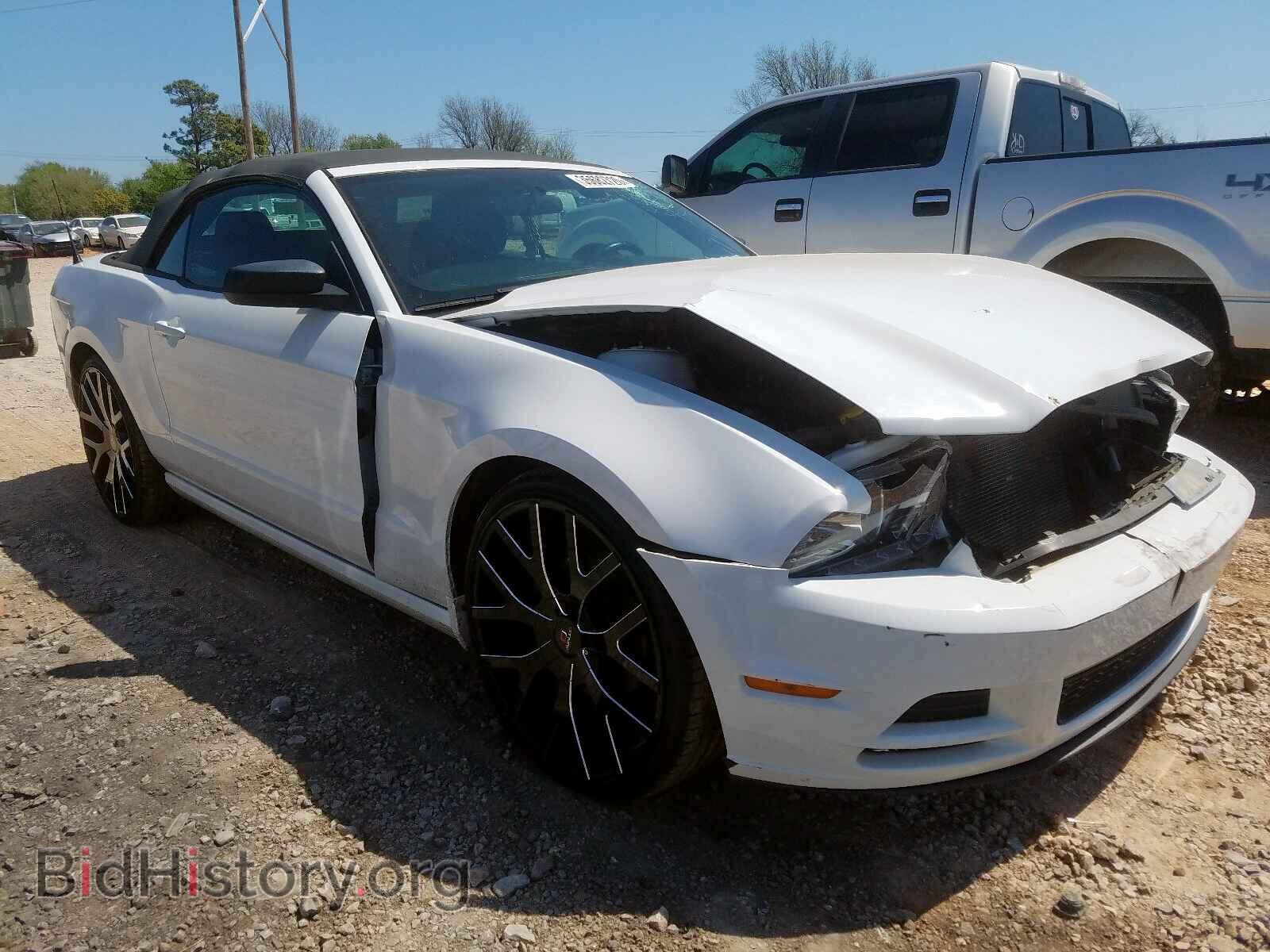 Photo 1ZVBP8EM4E5290460 - FORD MUSTANG 2014