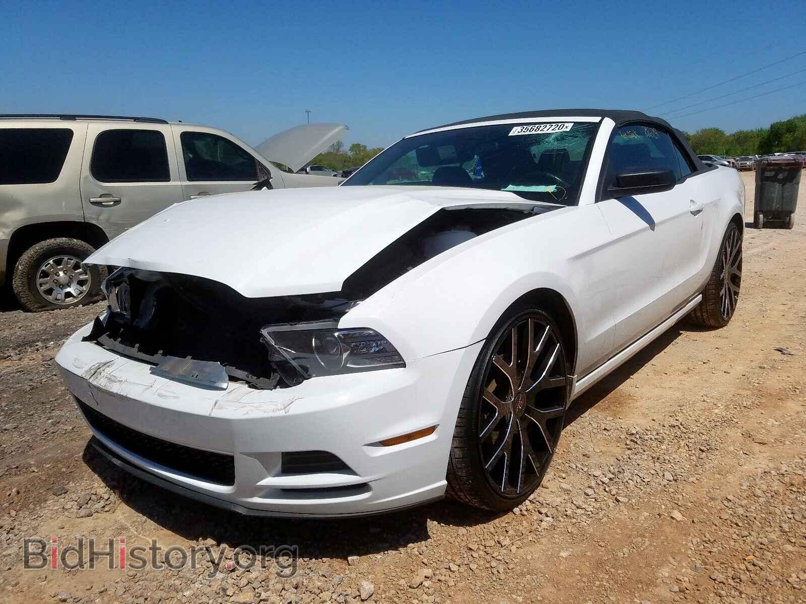2014 FORD MUSTANG - VIN: 1ZVBP8EM4E5290460 - Фото 2