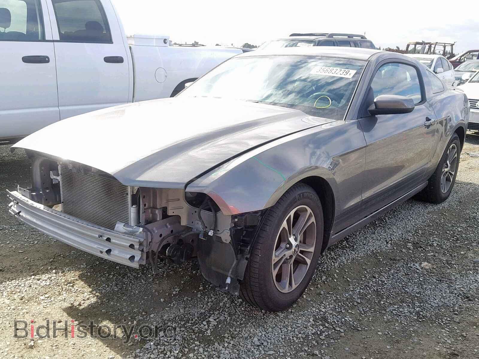 2014 FORD MUSTANG - VIN: 1ZVBP8AM3E5293002 - Фото 2