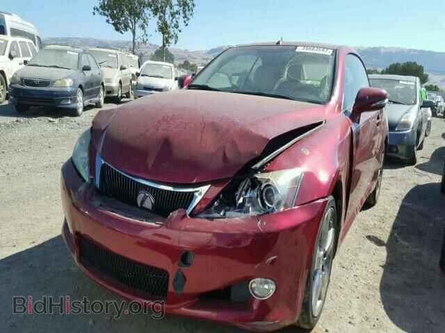 2010 LEXUS IS250 - VIN: JTHFF2C23A2508324 - Фото 2
