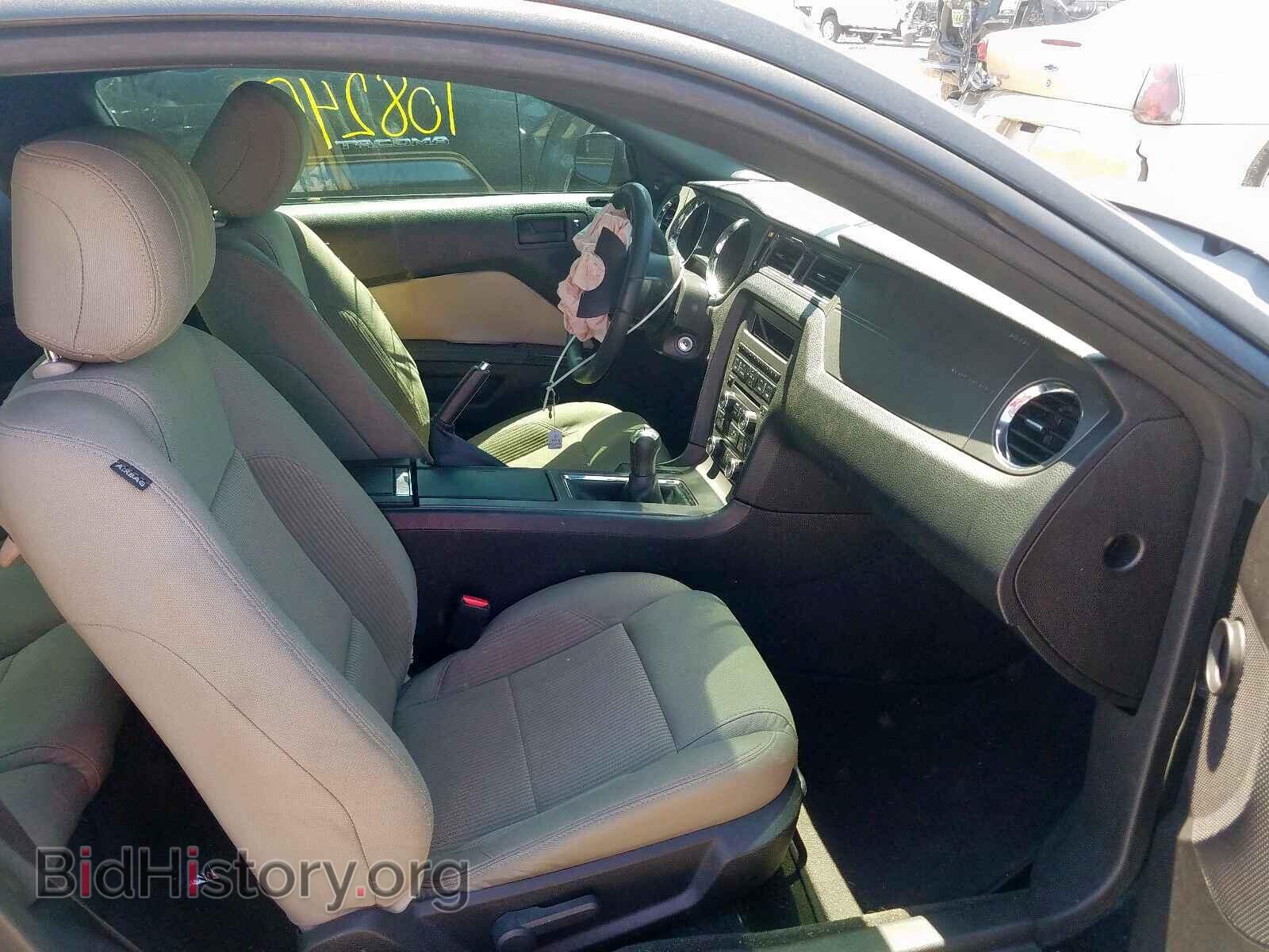 2012 FORD MUSTANG - VIN: 1ZVBP8AMXC5252086 - Фото 5