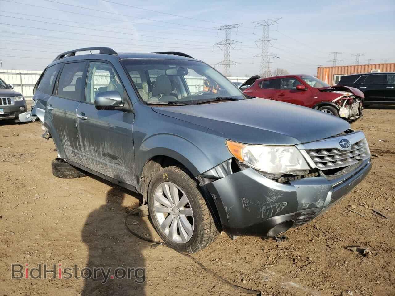 Photo JF2SHAEC2BH704457 - SUBARU FORESTER 2011