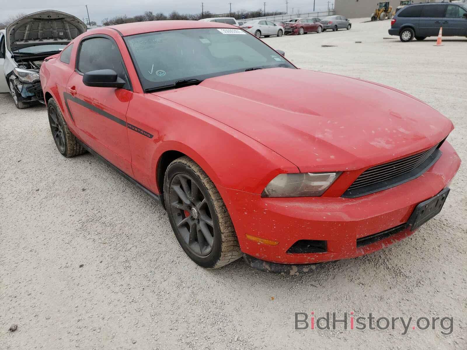 Фотография 1ZVBP8AM7B5122460 - FORD MUSTANG 2011