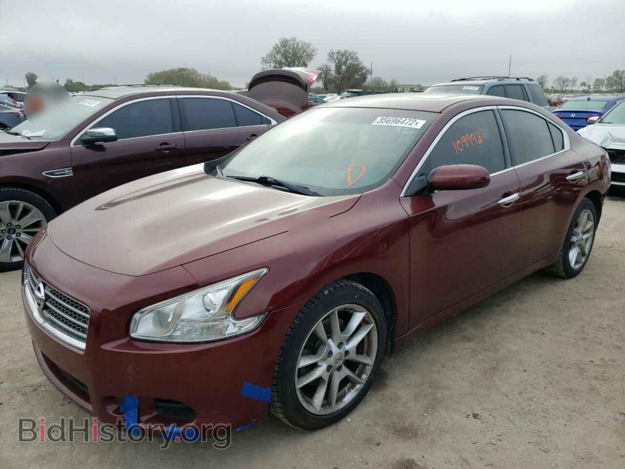 2010 NISSAN MAXIMA - VIN: 1N4AA5AP0AC839520 - Фото 2