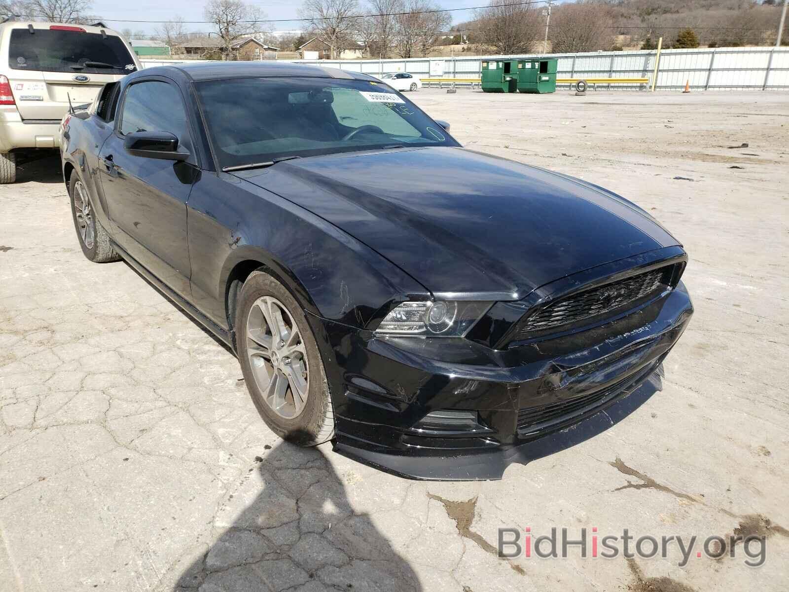 Photo 1ZVBP8AM9E5210818 - FORD MUSTANG 2014