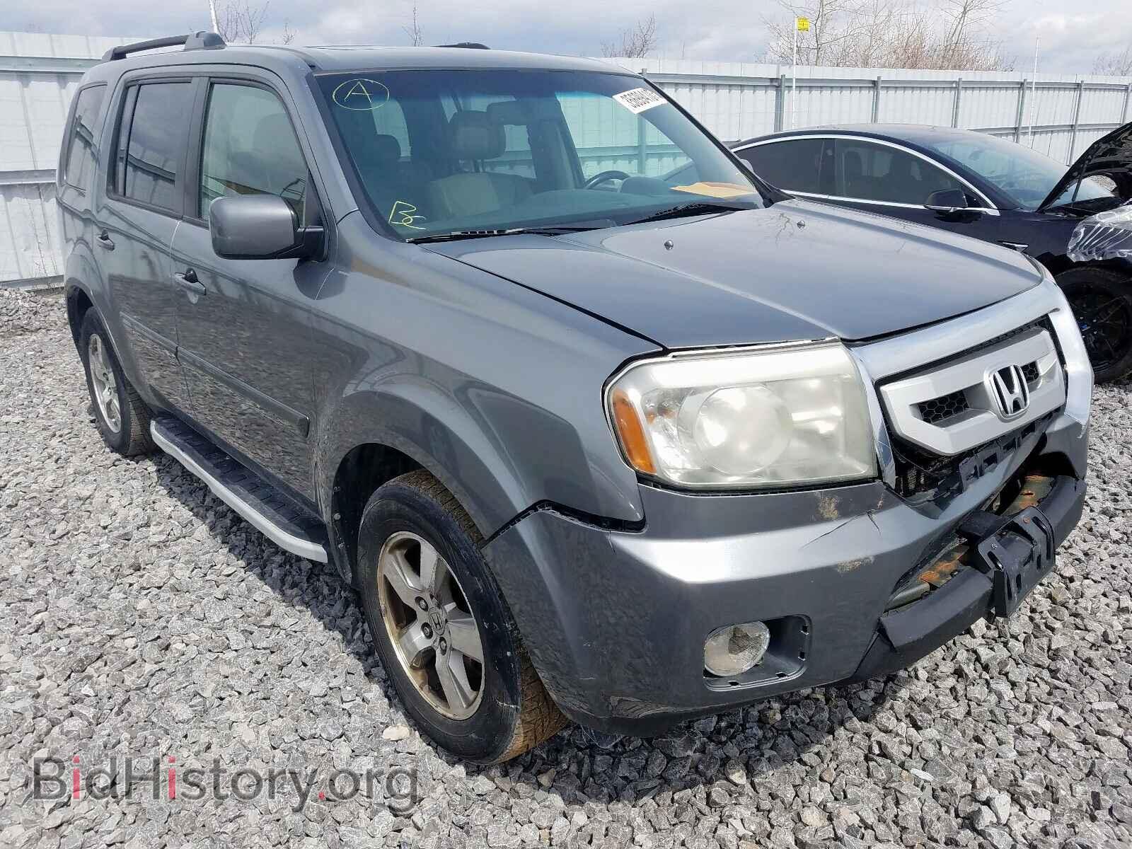 Фотография 5FNYF48649B503790 - HONDA PILOT 2009