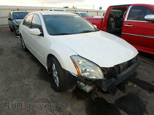 Photo 1N4BA41EX7C805977 - NISSAN MAXIMA 2007
