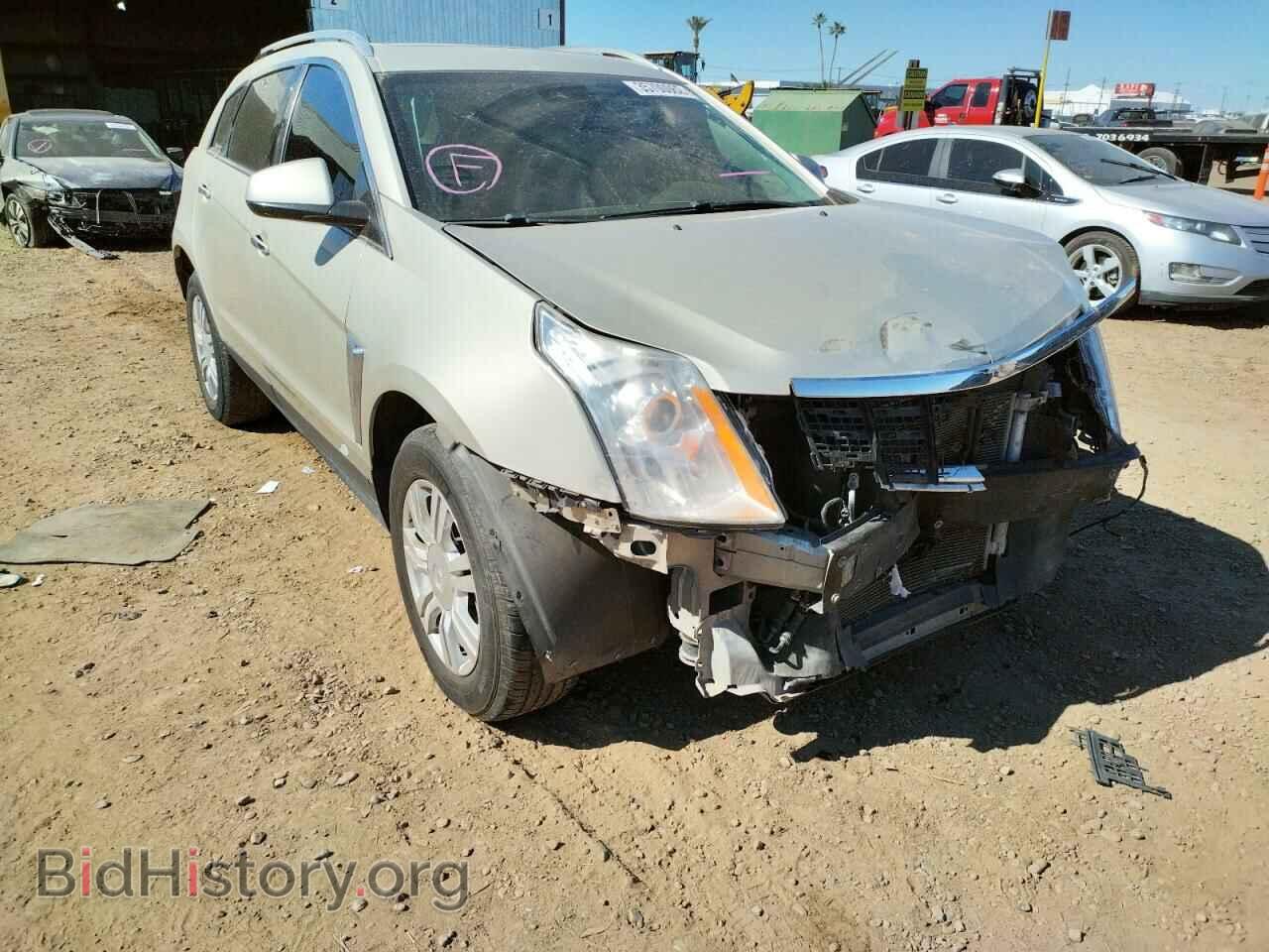 Photo 3GYFNCE33DS575296 - CADILLAC SRX 2013