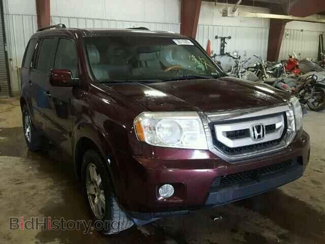 Фотография 5FNYF4H68BB002035 - HONDA PILOT 2011