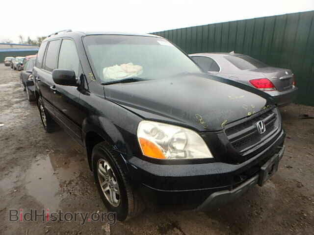 Фотография 5FNYF18445B013146 - HONDA PILOT 2005