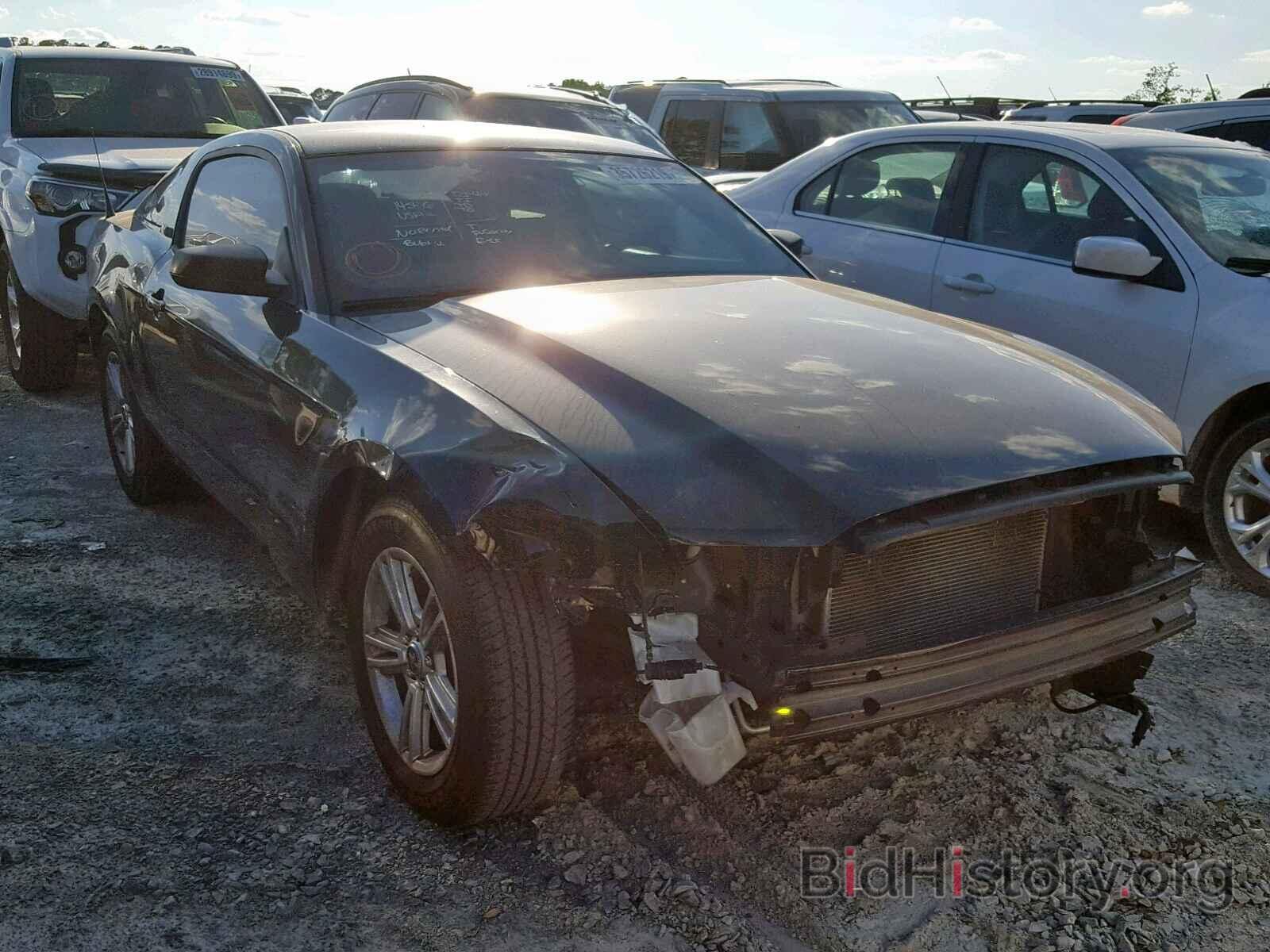 Photo 1ZVBP8AM3E5277205 - FORD MUSTANG 2014