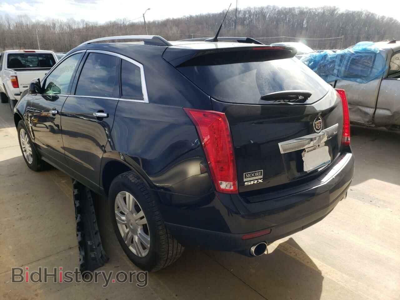 2010 CADILLAC SRX - VIN: 3GYFNAEY8AS597984 - Фото 3
