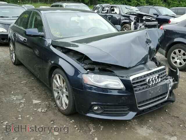 Фотография WAUFFAFL5AN022612 - AUDI A4 2010