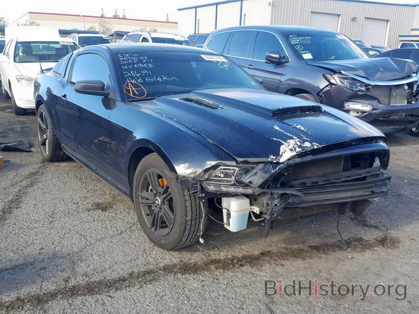 Photo 1ZVBP8AM0D5269643 - FORD MUSTANG 2013