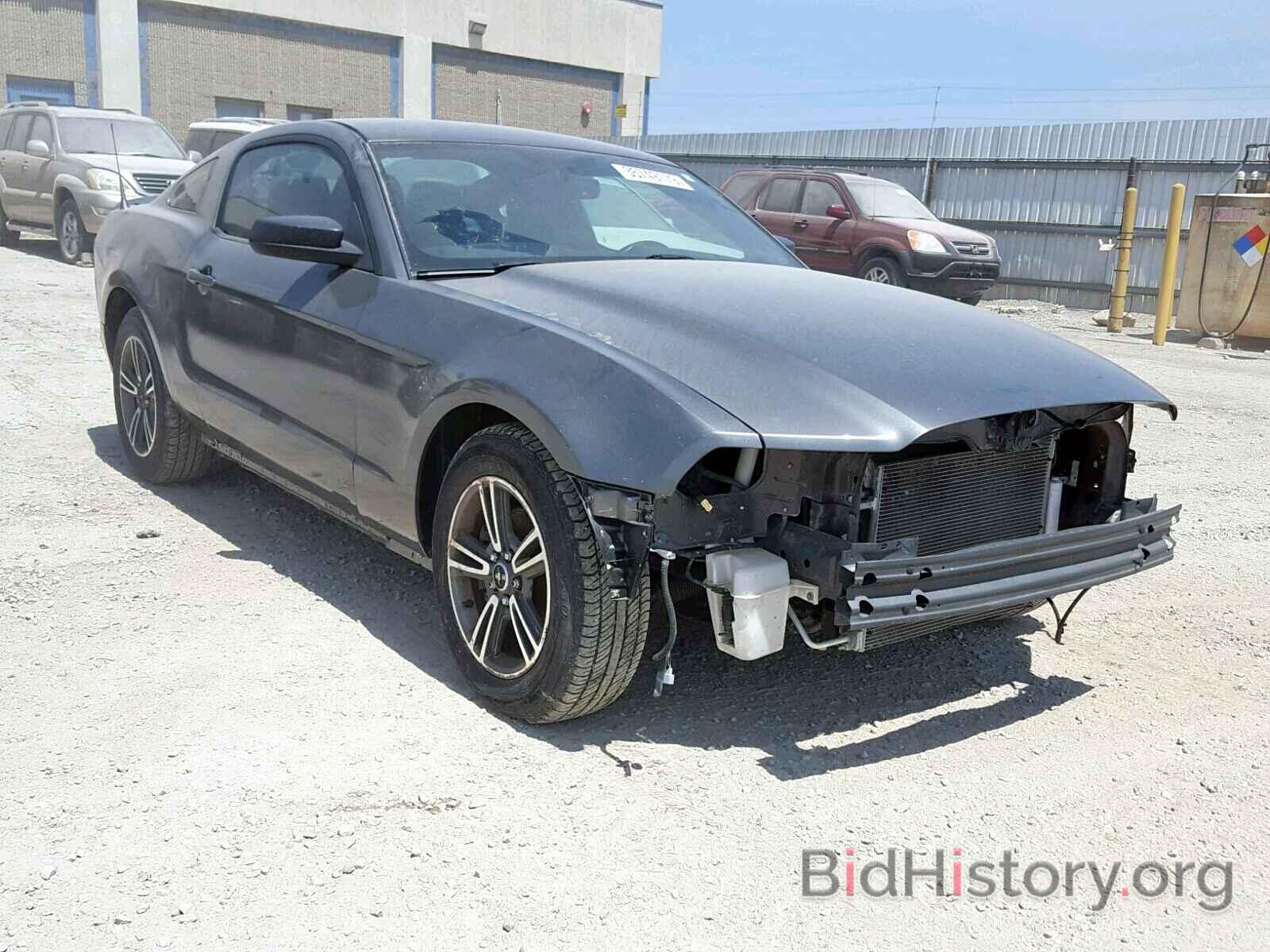 Photo 1ZVBP8AM5D5217232 - FORD MUSTANG 2013