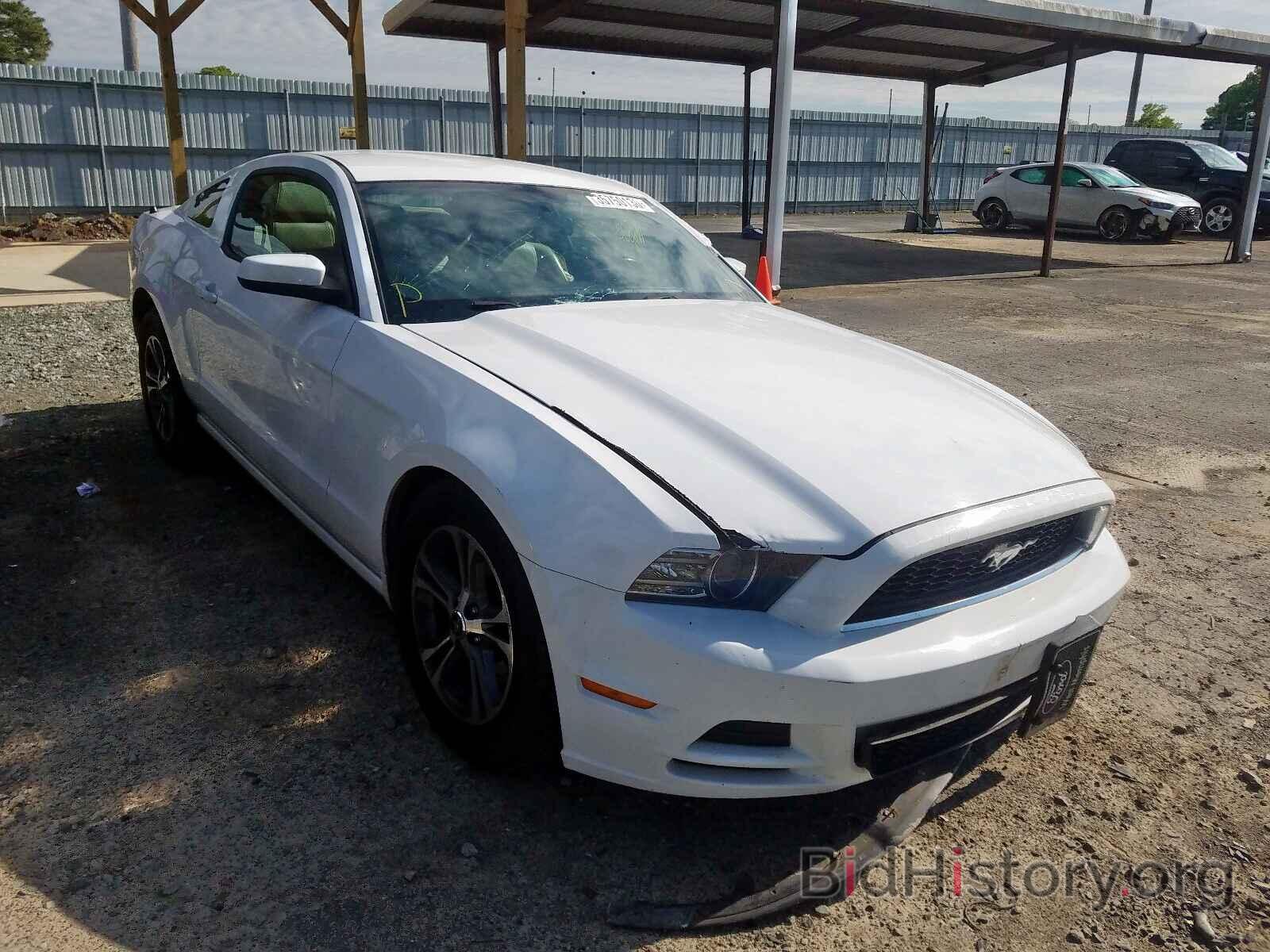 Photo 1ZVBP8AM7E5289227 - FORD MUSTANG 2014