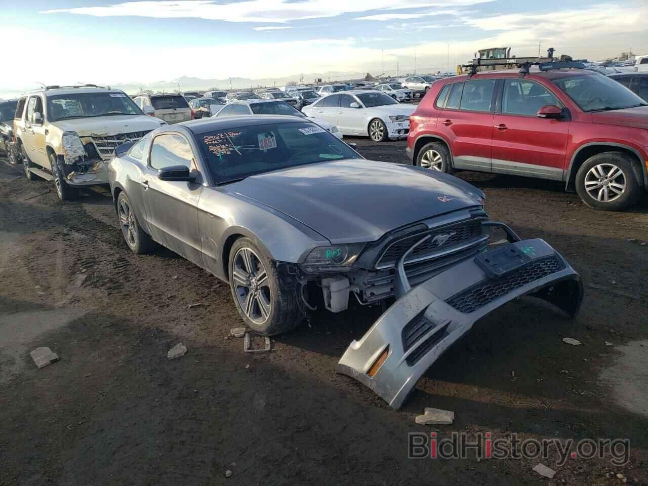 Photo 1ZVBP8AM0E5290509 - FORD MUSTANG 2014