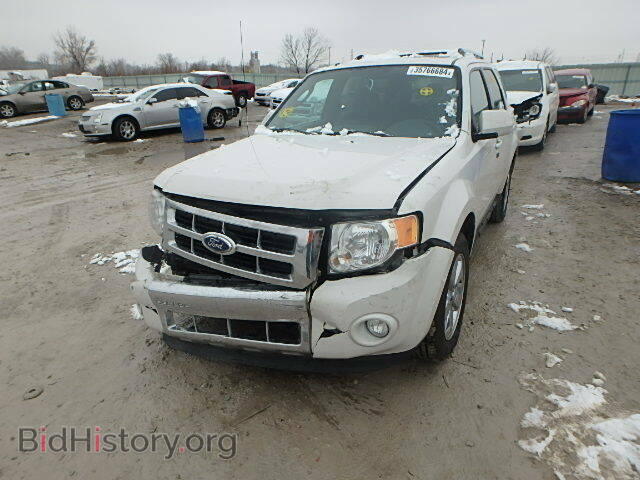 2011 FORD ESCAPE - VIN: 1FMCU9EG0BKC04442 - Фото 2
