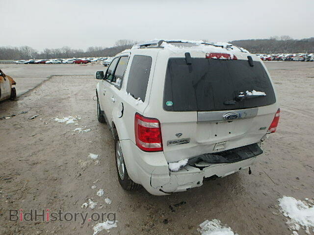 2011 FORD ESCAPE - VIN: 1FMCU9EG0BKC04442 - Фото 3
