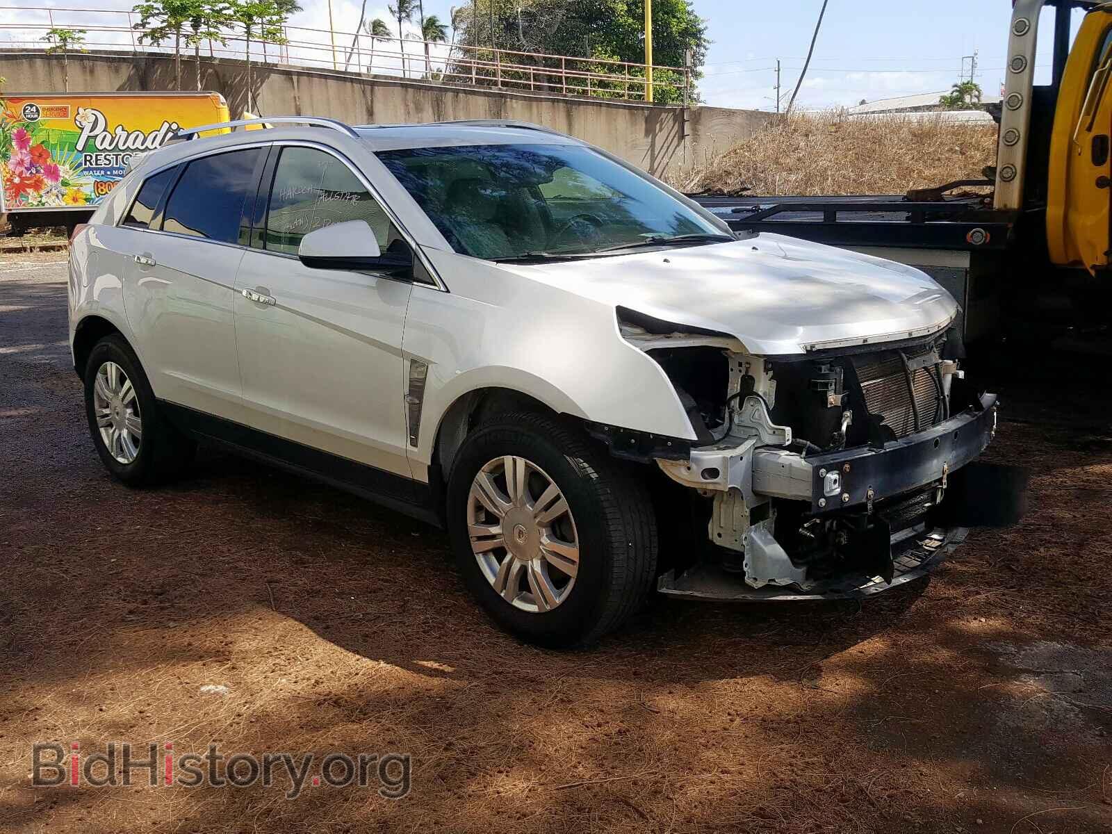 Photo 3GYFNAEY1BS528099 - CADILLAC SRX 2011