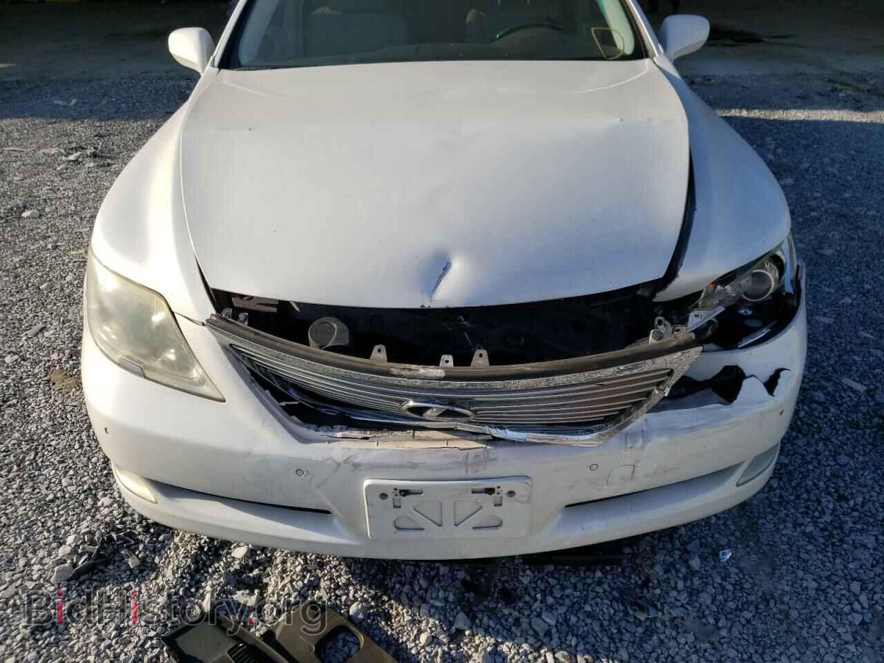 2007 LEXUS LS460 - VIN: JTHBL46F175005156 - Фото 9
