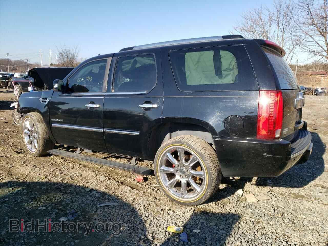 2010 CADILLAC ESCALADE - VIN: 1GYUKCEF5AR254272 - Фото 2