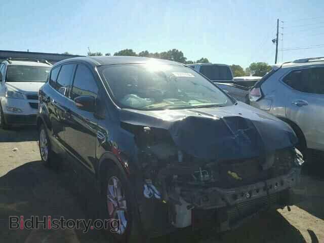 Фотография 1FMCU0H93DUD71099 - FORD ESCAPE 2013