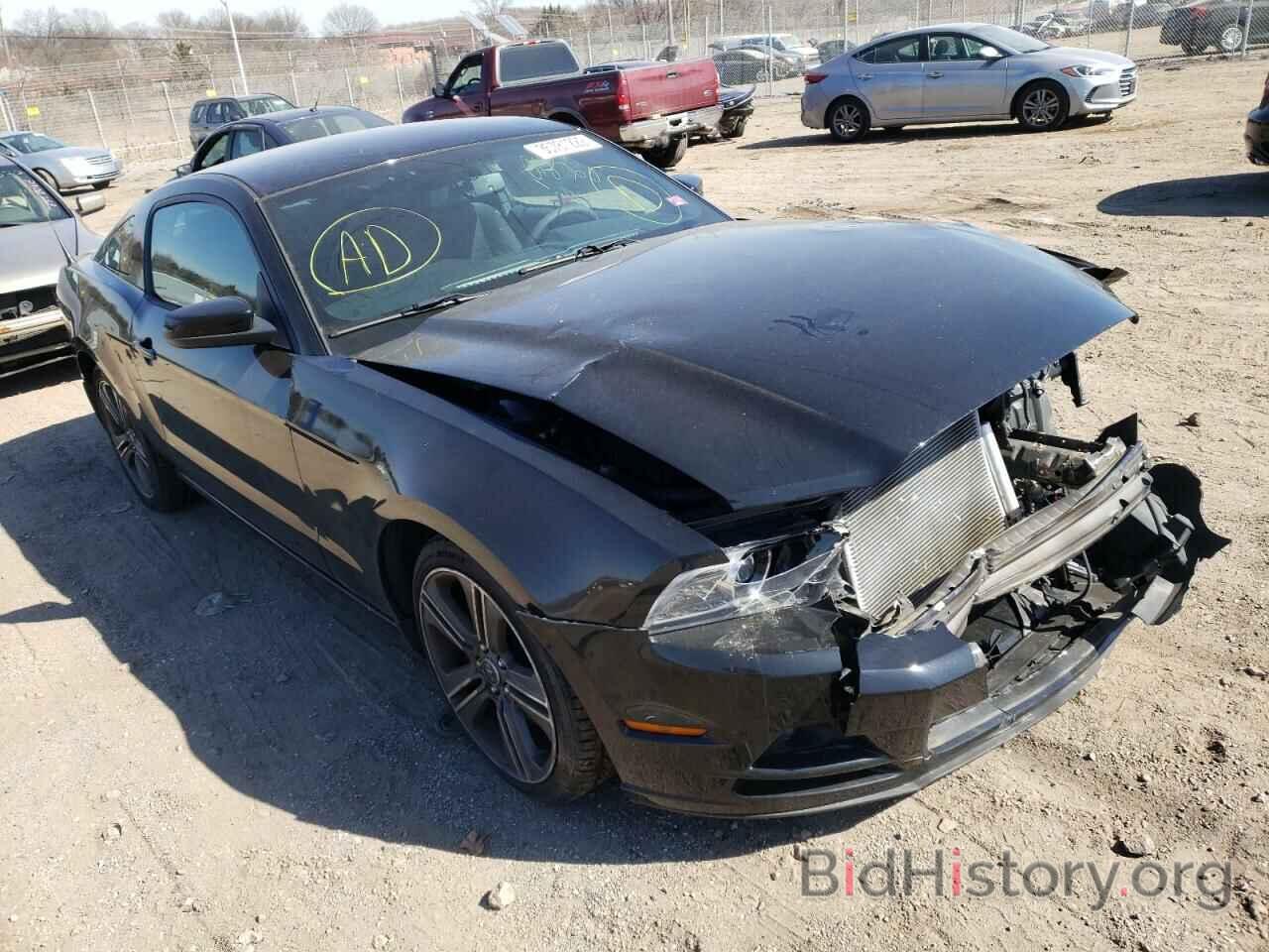 Photo 1ZVBP8AM3E5280377 - FORD MUSTANG 2014