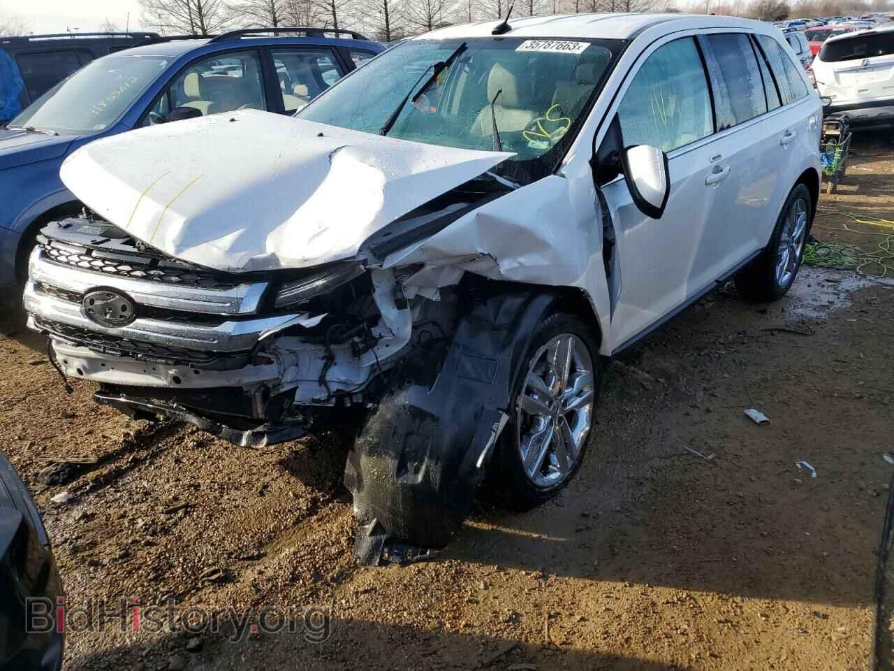 Фотография 2FMDK4KC2CBA81172 - FORD EDGE 2012