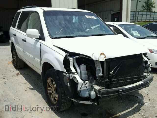 Фотография 5FNYF18595B048581 - HONDA PILOT 2005