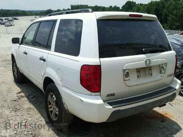 2005 HONDA PILOT - VIN: 5FNYF18595B048581 - Фото 3