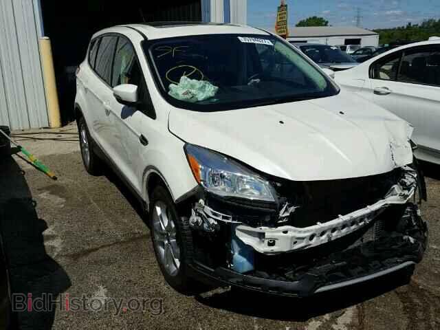 Фотография 1FMCU9H92DUD11299 - FORD ESCAPE 2013