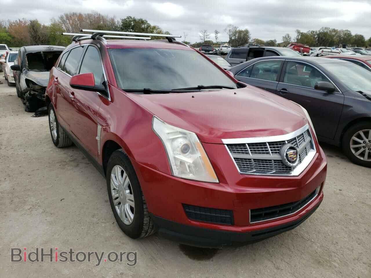 Фотография 3GYFNAEY7BS582815 - CADILLAC SRX 2011