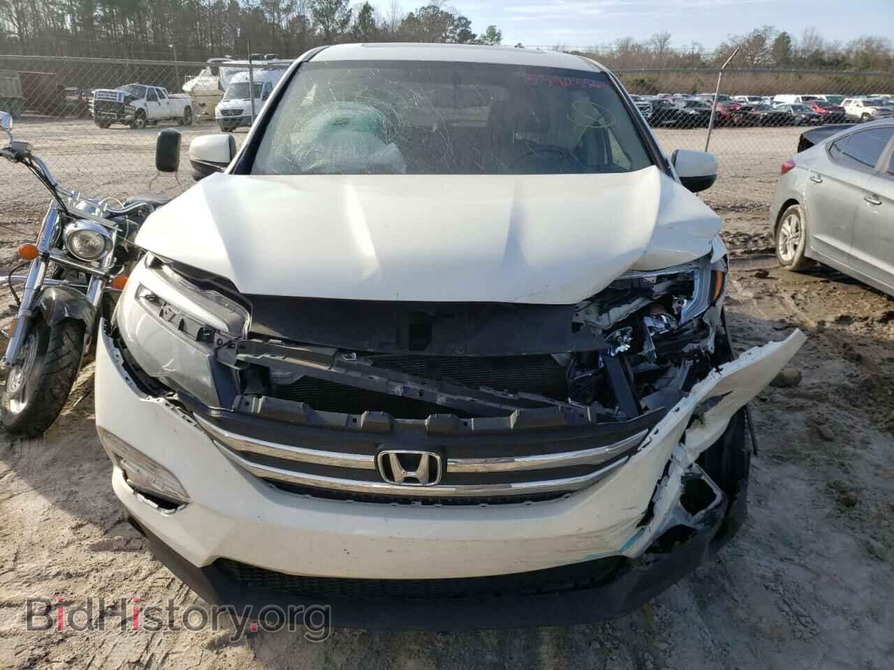 2017 HONDA PILOT - VIN: 5FNYF5H53HB020089 - Фото 5