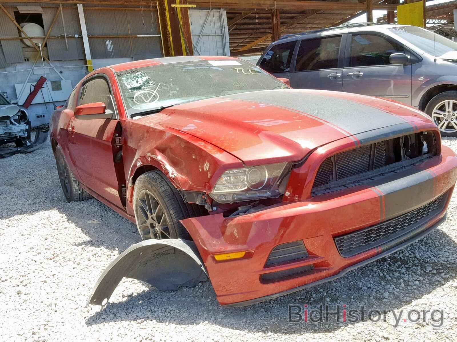 Photo 1ZVBP8AM1E5308872 - FORD MUSTANG 2014
