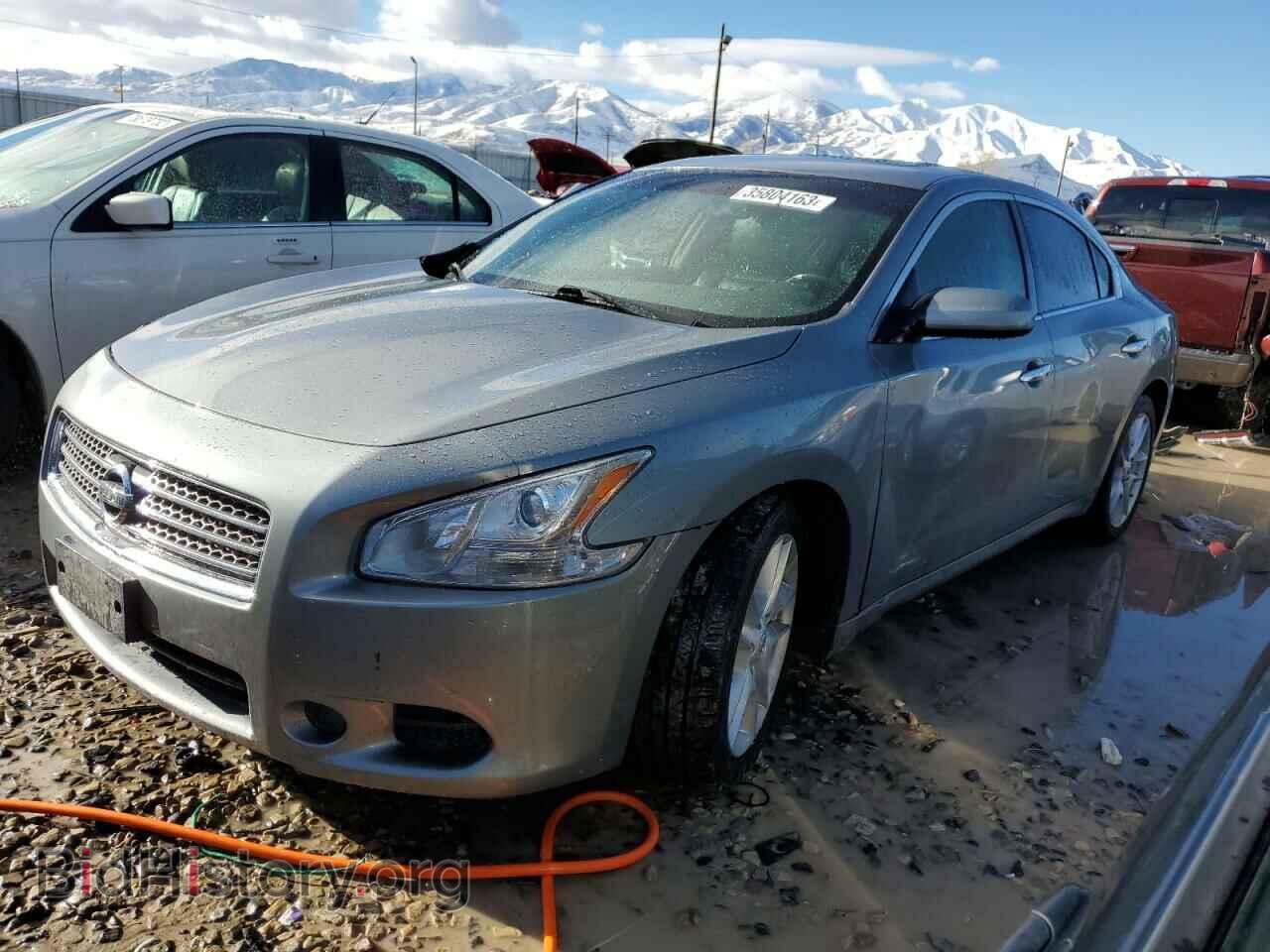 Фотография 1N4AA51E39C850666 - NISSAN MAXIMA 2009