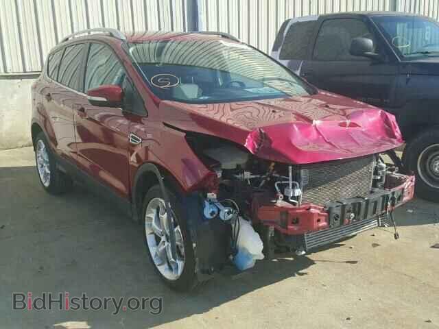 Фотография 1FMCU0J96DUD08928 - FORD ESCAPE 2013