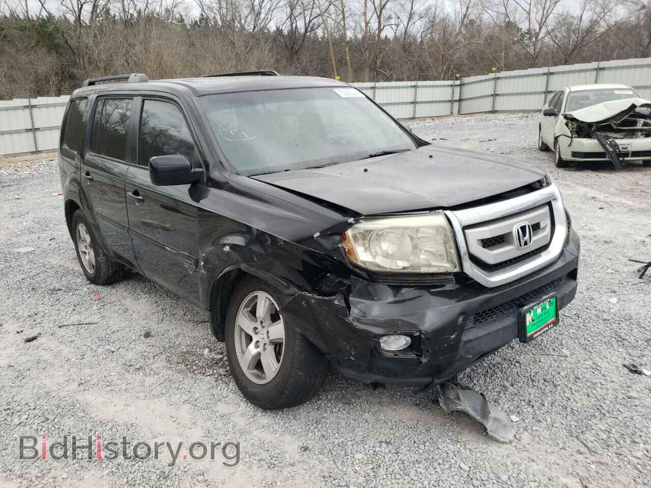 Фотография 5FNYF4H58BB035253 - HONDA PILOT 2011