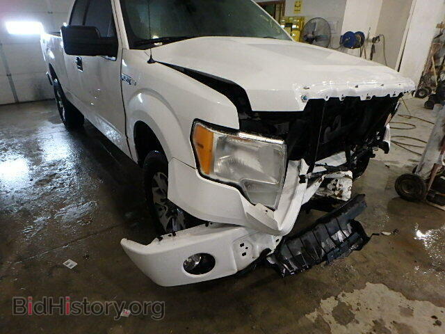 2013 FORD F150 - VIN: 1FTEX1EM8DFD26313 - Фото 10
